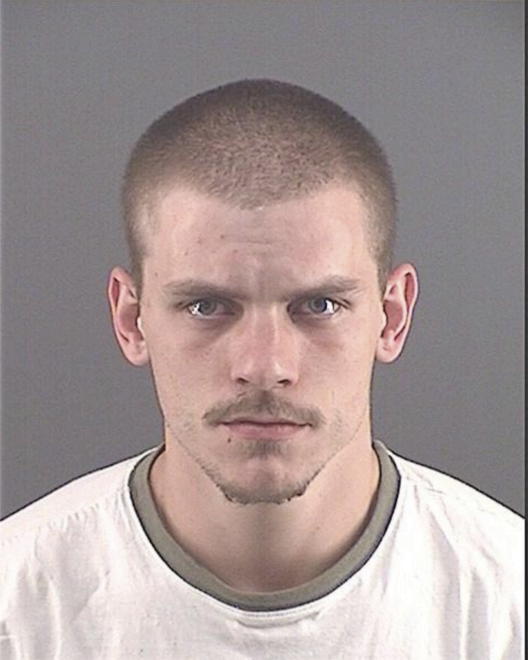 FLESNER, RONALD - Peoria County, IL