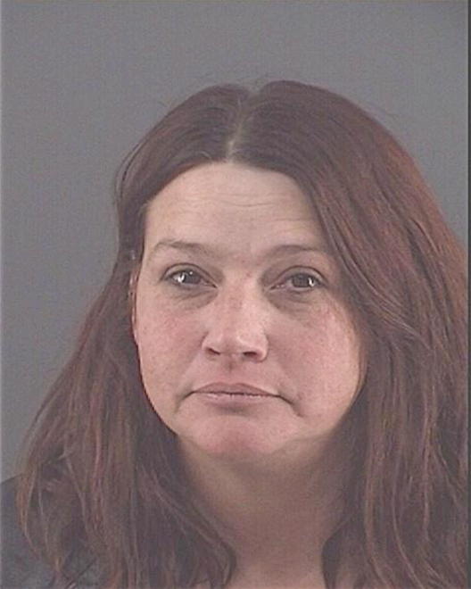 JOHNSON, TAMMY SUE - Peoria County, IL