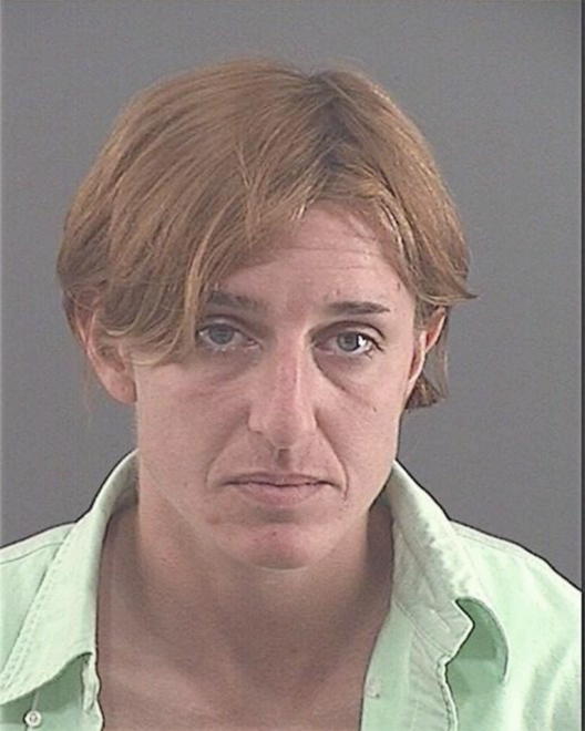 TRAINER, JESSICA LYNN - Peoria County, IL
