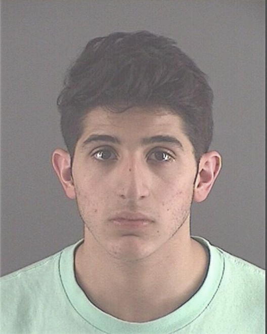 GHANTOUS, SAMI C - Peoria County, IL