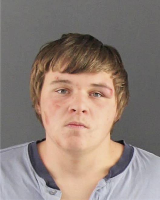 WOLF, TAYLOR A - Peoria County, IL