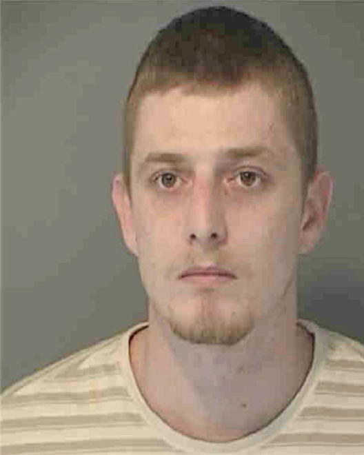 BRICKER, TIMOTHY WAYNE - Peoria County, IL
