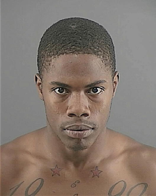 JOHNSON, DAVID LAMONT - Peoria County, IL