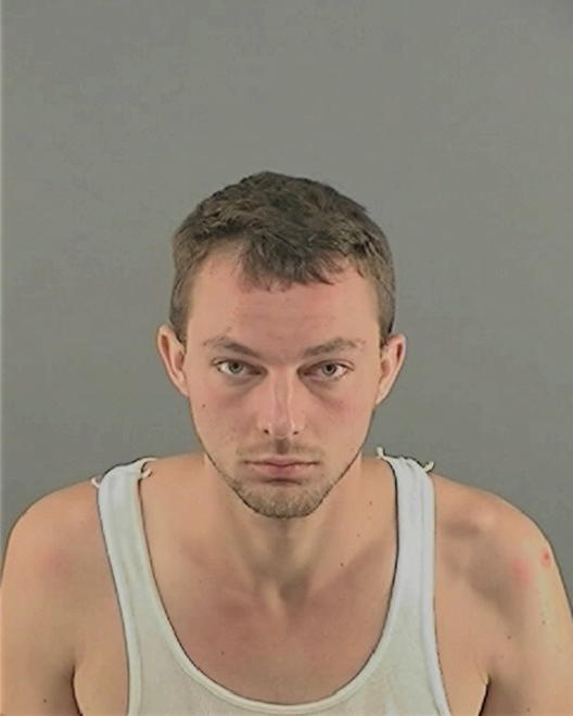 DIVELEY, BRANSON N - Peoria County, IL