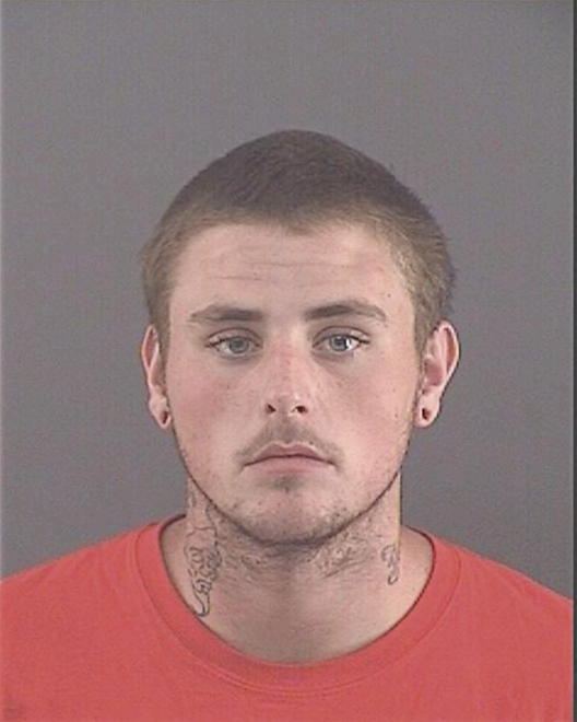 LEE, STEVEN WAYNE - Peoria County, IL