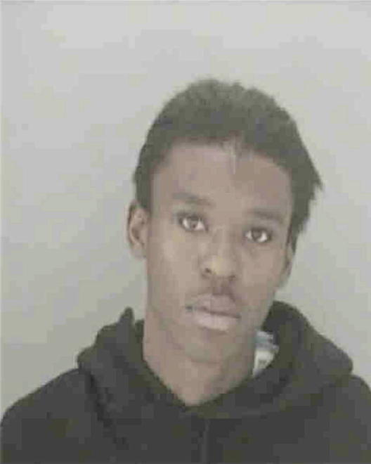 MCADORY, LOUIS JR - Peoria County, IL