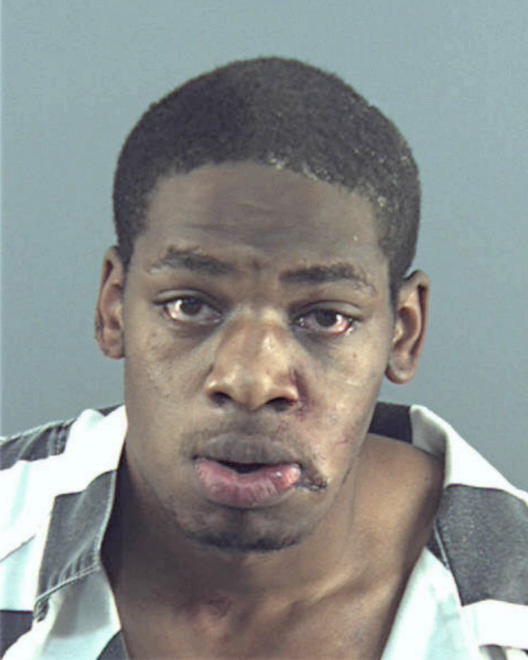 BRADLEY, TERRENCE MATTHEW - Peoria County, IL