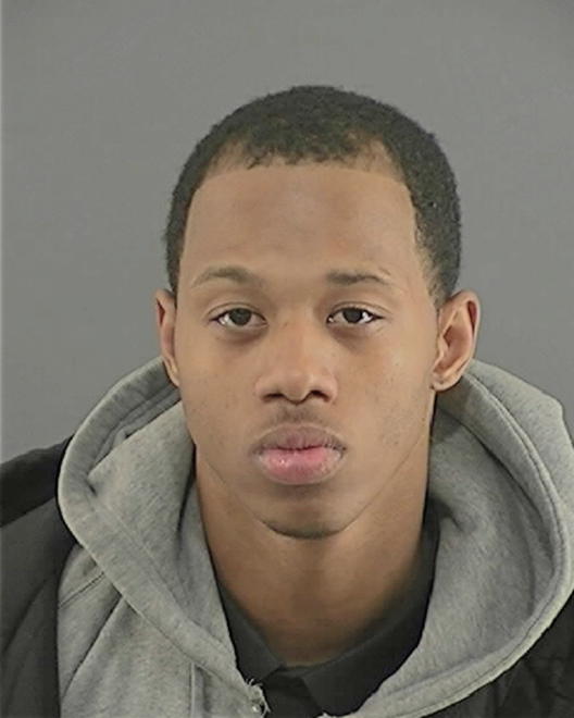 POLNITZ, BRANDON J - Peoria County, IL