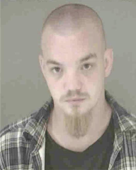SOLOMON, DAVID A - Peoria County, IL