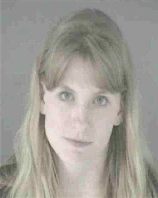 DOLLINS, TINA MARIE - Peoria County, IL