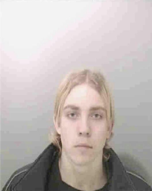 EMMER, PATRICK CHARLES - Peoria County, IL