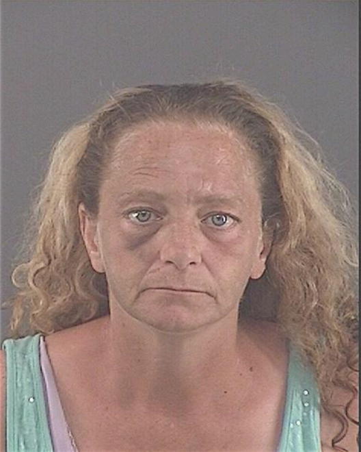 YEDINAK, THERESA LYNN - Peoria County, IL