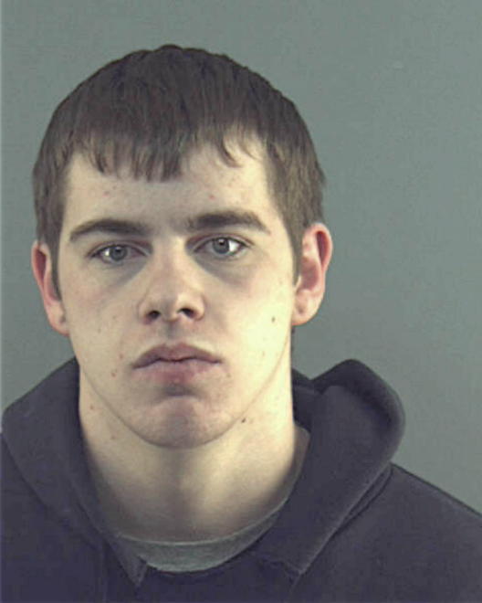 NELSON, BRETT H - Peoria County, IL