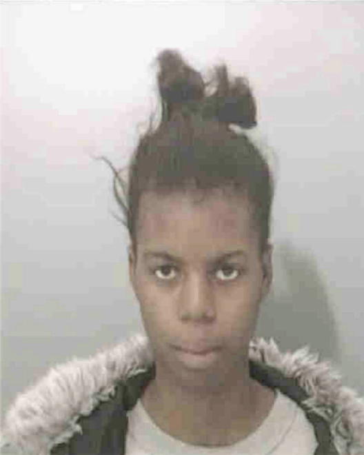 TOOLIE, QUALEESHA LASHA - Peoria County, IL