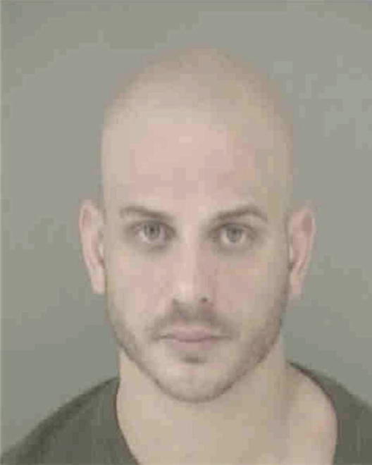 JOHNSTON, ANTHONY AARON - Peoria County, IL