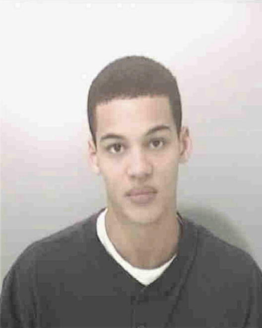 PEEPLES, JASON VERNON - Peoria County, IL