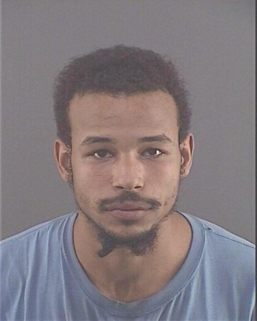 POLNITZ, NATHANIEL H - Peoria County, IL