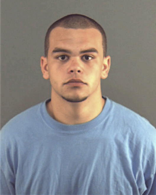 ROBINSON, BRANDON JOHN - Peoria County, IL