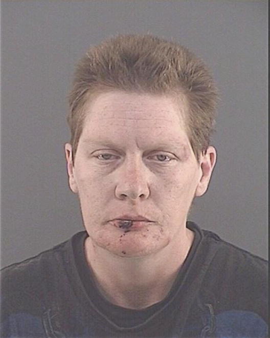 SEELYE, LESLIE SUE - Peoria County, IL