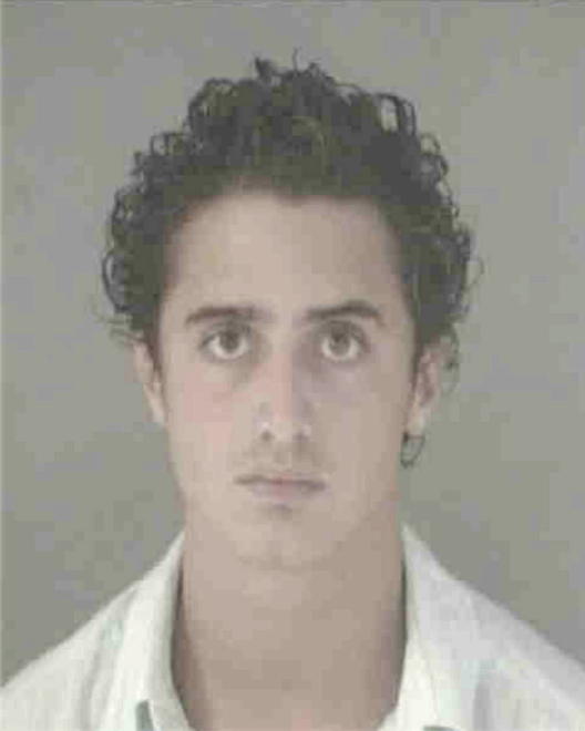 ALWAN, MICHAEL S - Peoria County, IL