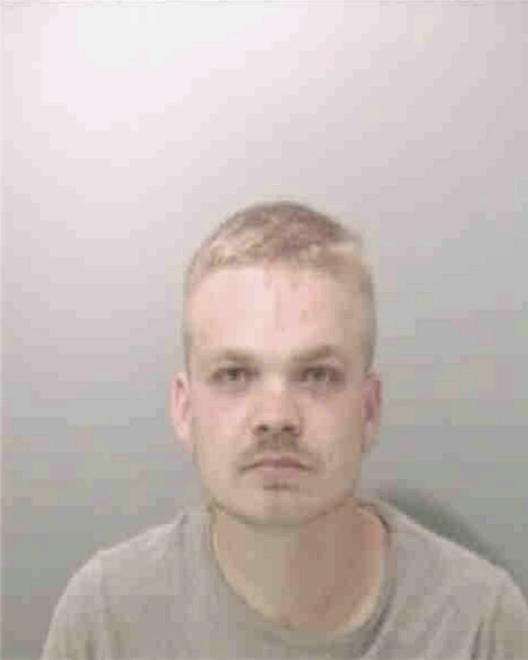 BAUGHMAN, CHRISTOPHER MICHAEL - Peoria County, IL