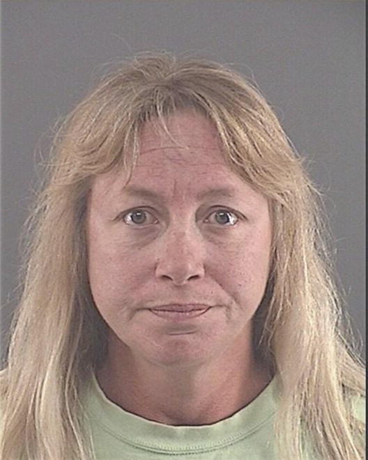 LEE, DENISE MARIE - Peoria County, IL