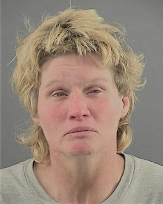 POWELL, TONYA LYNN - Peoria County, IL