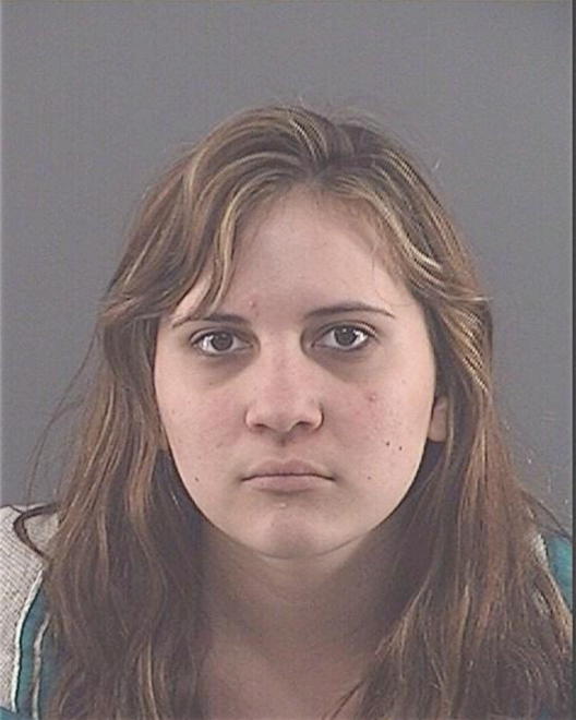 VIGNONI, ERIN NICOLE - Peoria County, IL