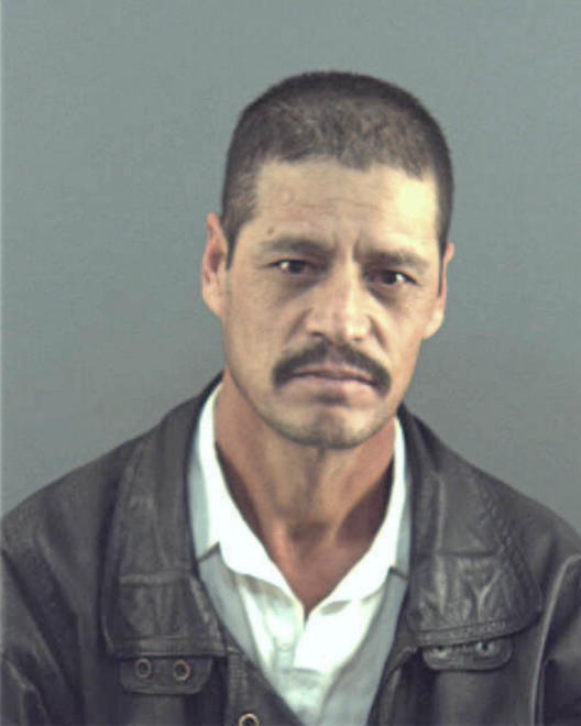 VILLA-DIAZ, RAUL - Peoria County, IL