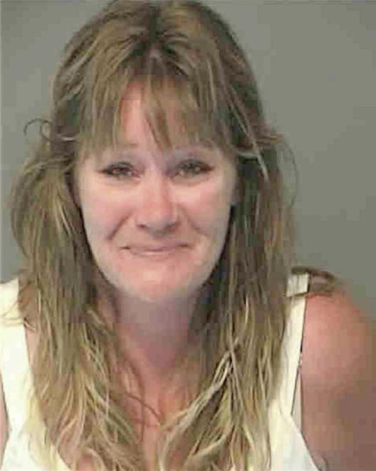 BAUGHMAN, MICHELLE L. - Peoria County, IL