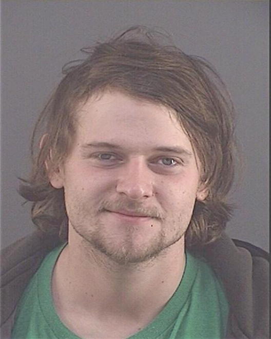 LANE, DYLAN MICHAEL - Peoria County, IL