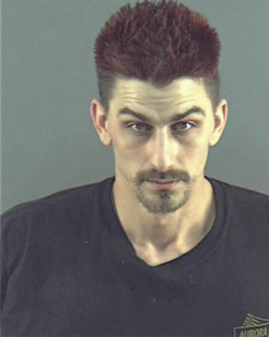 HAILE, JOSHUA G - Peoria County, IL