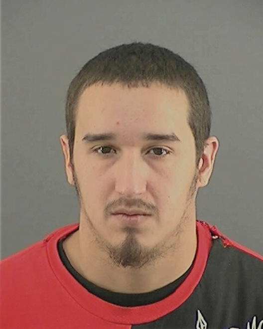 PIZANO, ROBERTO - Peoria County, IL