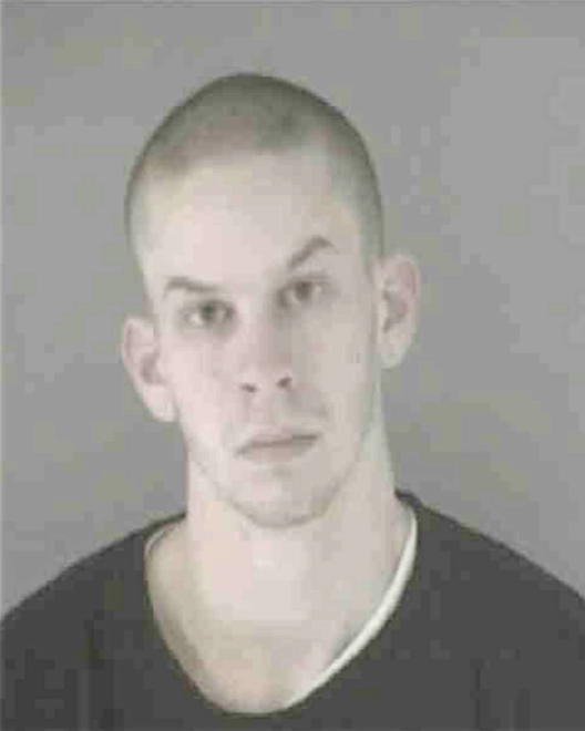 BUSHMAN, CHRISTOPHER WILLIAM - Peoria County, IL