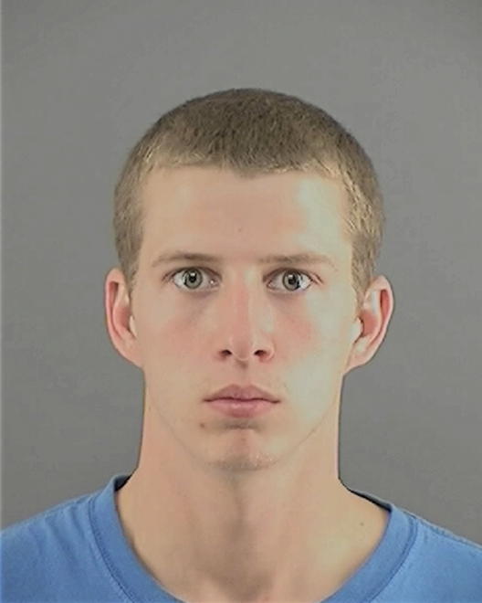 WILLIAMSON, DOUGLAS A - Peoria County, IL