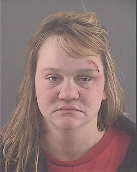 HOLT, LISA MARIE - Peoria County, IL