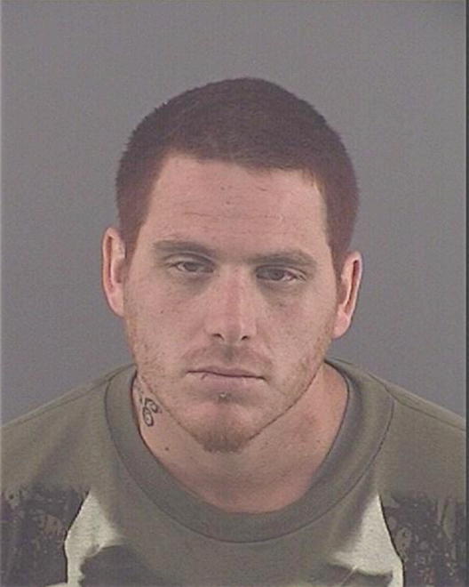VERVYNCK, ANDREW P - Peoria County, IL
