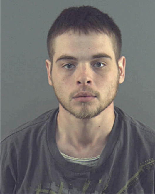 CREMEENS, SHANE PALMER - Peoria County, IL