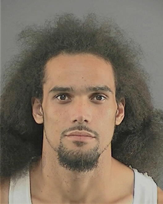 NORRIS, ROBERT LEE - Peoria County, IL