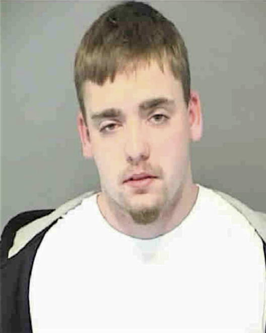 NELTNER, DANIEL J - Peoria County, IL