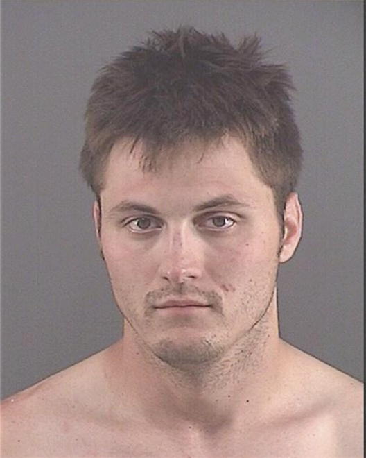 ANDREWS, MITCHELL RYAN - Peoria County, IL
