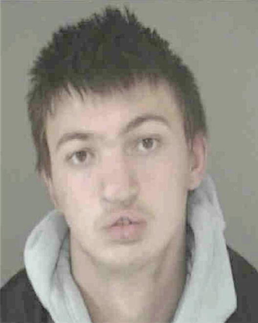 KRASNER, AARON M - Peoria County, IL