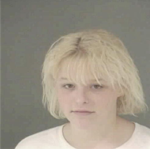 LAWSON, AMBER NICOLE - Peoria County, IL