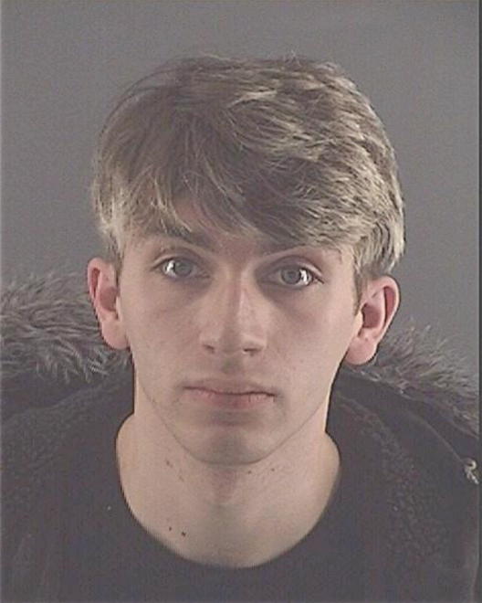 TROWBRIDGE-ENNIS, JEREMY D - Peoria County, IL