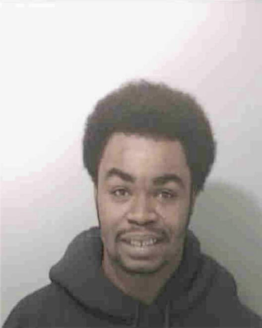 WILLIAMS, JARVIS DUSEAN - Peoria County, IL