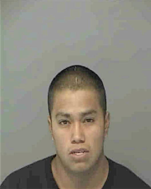 PEGAERO, JESUS FLORES - Peoria County, IL