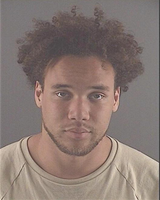 DIEDRICH-MCFARLANE, DAVID A - Peoria County, IL
