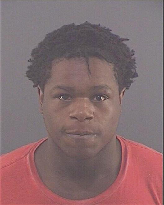 JOHNSON, CRAIG D - Peoria County, IL