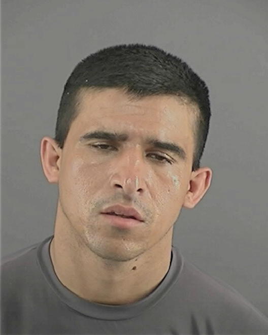 MORALES, NELSON SIFRE - Peoria County, IL