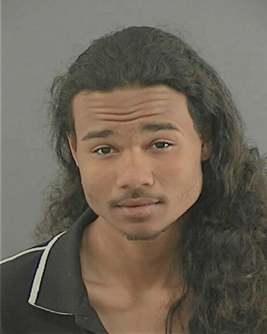 BELL, TEVIN DRAY - Peoria County, IL